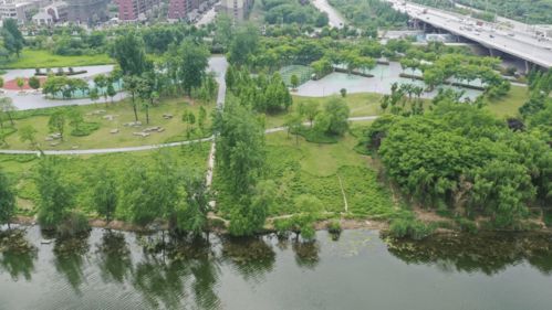 潁河橋下福利特輯 | 一河一園美景如畫，三重狂歡豪禮抱回家